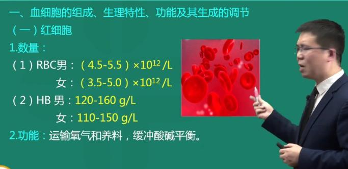 紅細胞課程