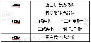 RNA結構與功能
