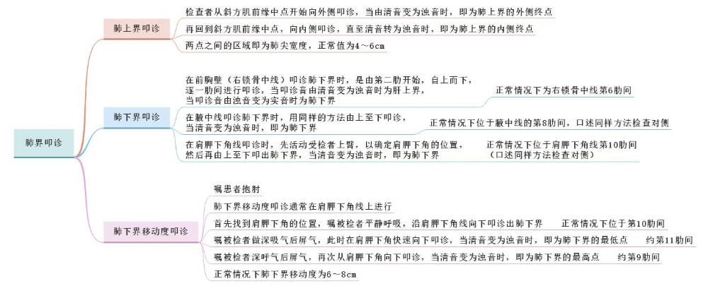 體格檢查——肺界叩診、肺下界移動(dòng)度叩診