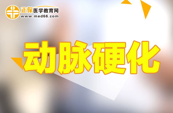 動脈硬化 動脈硬化