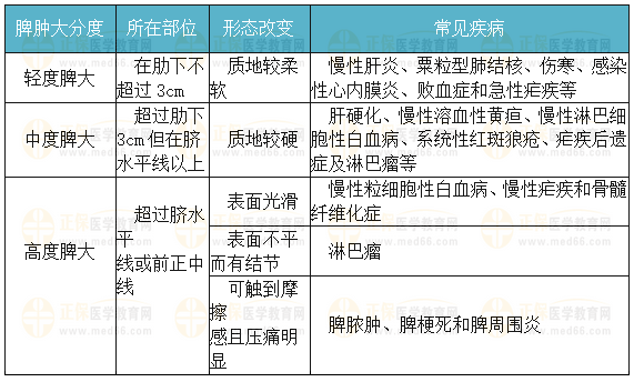 脾臟腫大測量法和分度 脾臟腫大測量法和分度