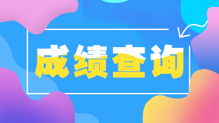 畫(huà)板 1