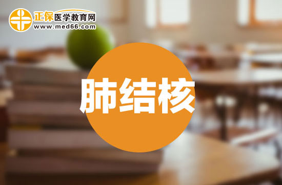 肺結(jié)核 肺結(jié)核