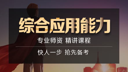 綜合應(yīng)用能力 綜合應(yīng)用能力