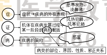 中藥綜特點(diǎn)