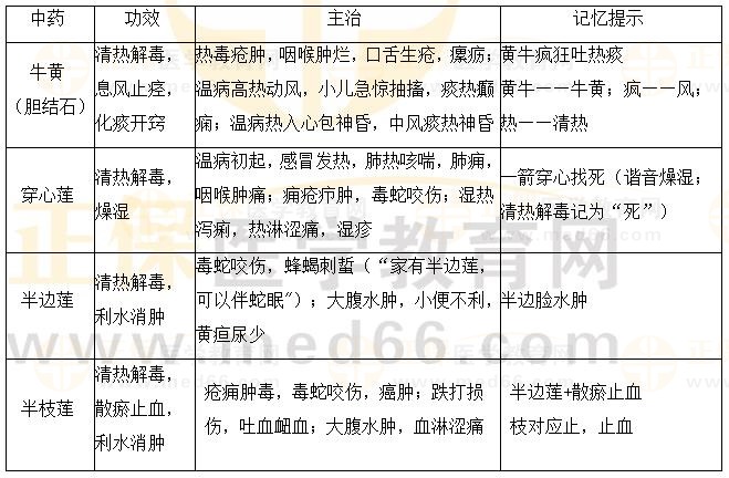 清熱解毒藥之三個(gè)“蓮”一個(gè)“結(jié)石”-2023《中藥二》必學(xué)考點(diǎn)