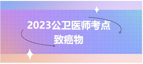 2023公衛(wèi)醫(yī)師考點致癌物