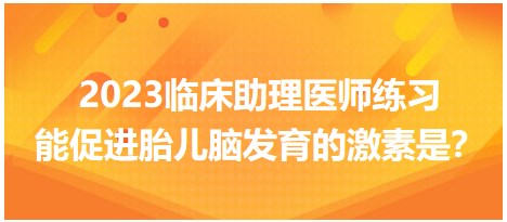 2023臨床助理醫(yī)師練習(xí)-促進胎兒腦發(fā)育的激素是？