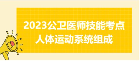 2023公衛(wèi)醫(yī)師技能考點-人體運(yùn)動系統(tǒng)組成