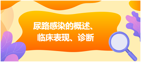 尿路感染的概述、臨床表現(xiàn)、診斷