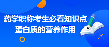 2024藥學(xué)職稱考生必看知識(shí)點(diǎn)：蛋白質(zhì)的營養(yǎng)作用