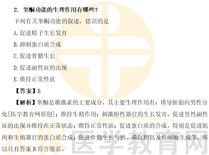 睪酮功能的生理作用有哪些？