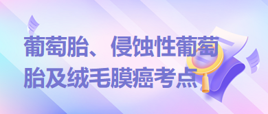 葡萄胎、侵蝕性葡萄胎及絨毛膜癌考點(diǎn)