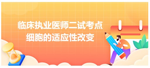 細(xì)胞的適應(yīng)性改變